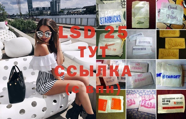 прущие грибы Алексин
